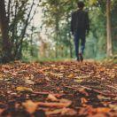 无境的个人资料头像