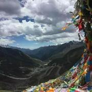 zhaolei7870的个人资料头像