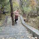 黄磊在掘金43861的个人资料头像