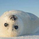 Calm本尊的个人资料头像