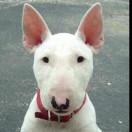 armado的个人资料头像