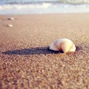 AlgoYu的个人资料头像