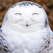 Harry4fun的个人资料头像