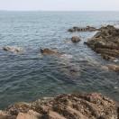 程骁的个人资料头像