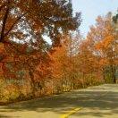 飘雪微盟的个人资料头像