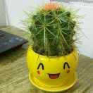 再续辉煌的个人资料头像