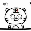 帅子锅的个人资料头像