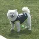 Rothschild的个人资料头像