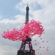 shellyaoo的个人资料头像