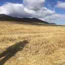 陶源的个人资料头像