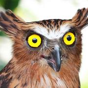 wwy2018的个人资料头像