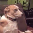 含蓄的Nick的个人资料头像