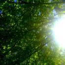 兜兜转转心心念念的个人资料头像