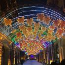 猿君的个人资料头像