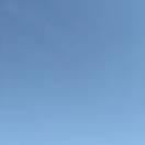 ellaking的个人资料头像