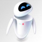 蓝小月蓝大月的个人资料头像