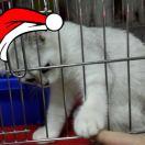 小学生之父的个人资料头像