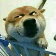 安小脉的个人资料头像