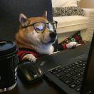 我的天啊的个人资料头像