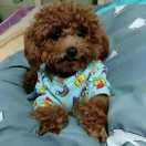 重名了44867的个人资料头像