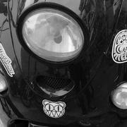 alonbee的个人资料头像