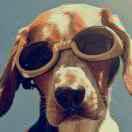 挖掘机不想说话44893的个人资料头像