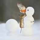 冒险岛的个人资料头像