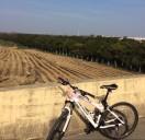 华明泉的个人资料头像