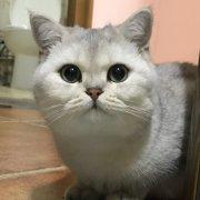 魔道_印象的个人资料头像