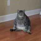 晓明同志44974的个人资料头像