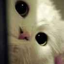 xashes重名了的个人资料头像