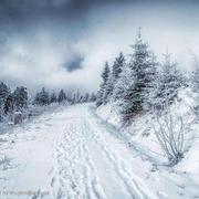 chefei的个人资料头像