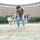 競競的个人资料头像