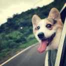 王强本尊45029的个人资料头像