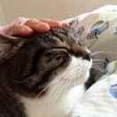 Luminous45067的个人资料头像