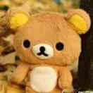 小熊重名了45072的个人资料头像