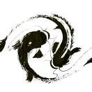 夜雨听风的个人资料头像