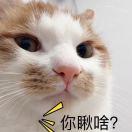 M重名了45121的个人资料头像