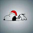 冬瓜重名了的个人资料头像