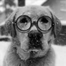 LiLei在掘金45195的个人资料头像