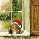 StevenYu的个人资料头像