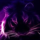 何通的个人资料头像