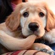 JensenYao的个人资料头像