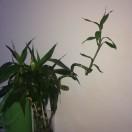 蒋振亚的个人资料头像