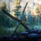 阿龙st的个人资料头像