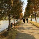 xlmo的个人资料头像