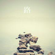 起飞的小金鱼的个人资料头像