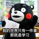 玄冰的个人资料头像