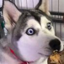 勼的个人资料头像