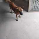 am的个人资料头像